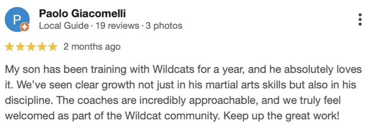 Wildcats Combat — martial arts-studio in Greenford, London — 3