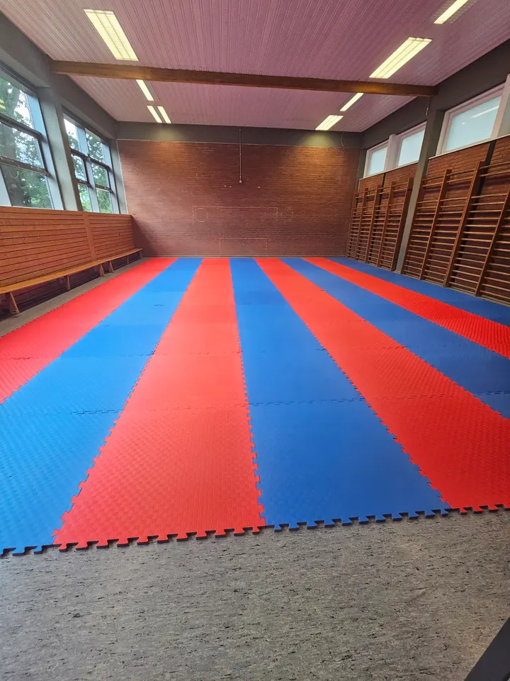 Sport Academy Lübeck e.V. — Kampfsport in Alt-Moisling / Genin, Lübeck
