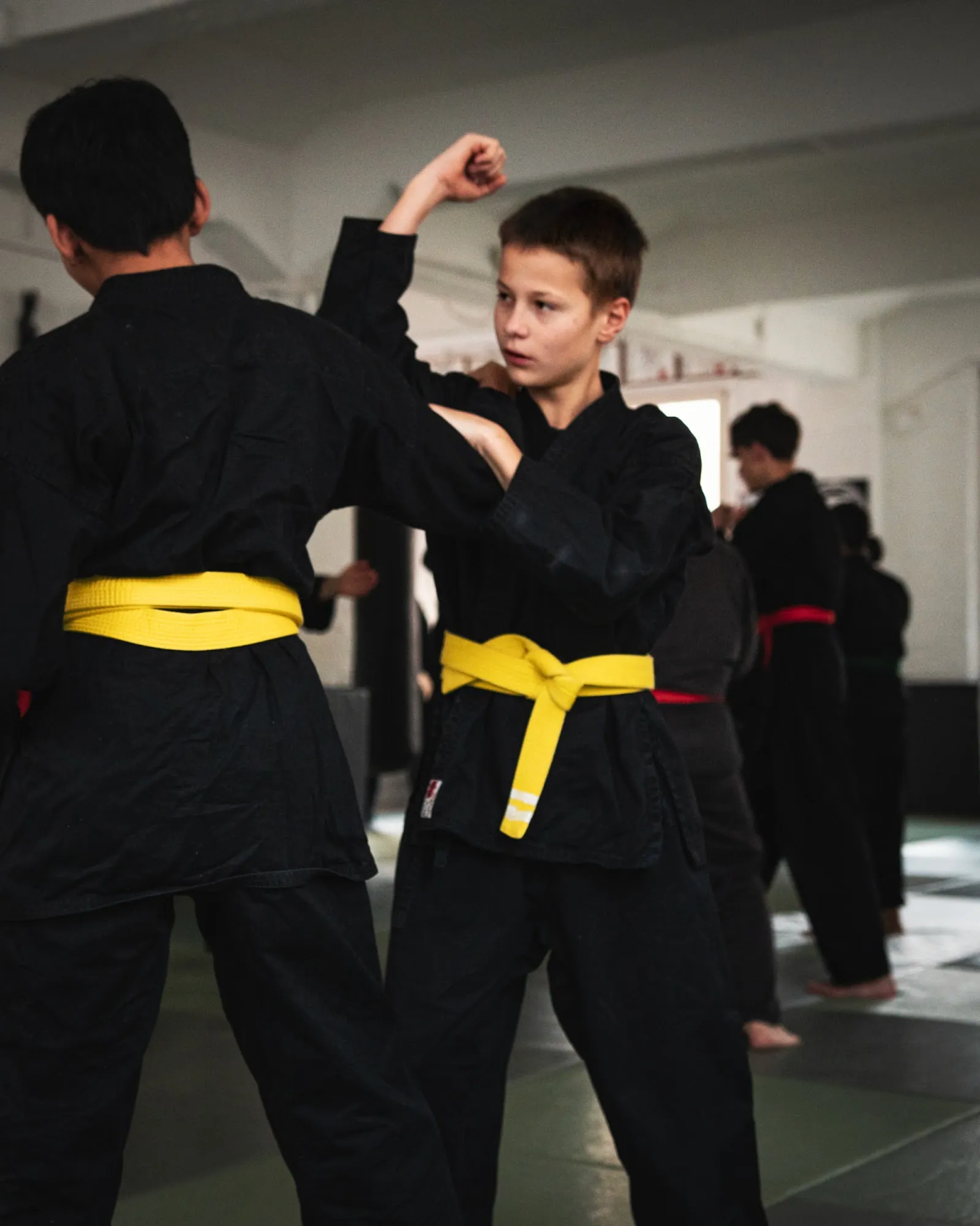 Ninjutsu Akademie Hamburg — muay thai-studio in Hamburg — 3