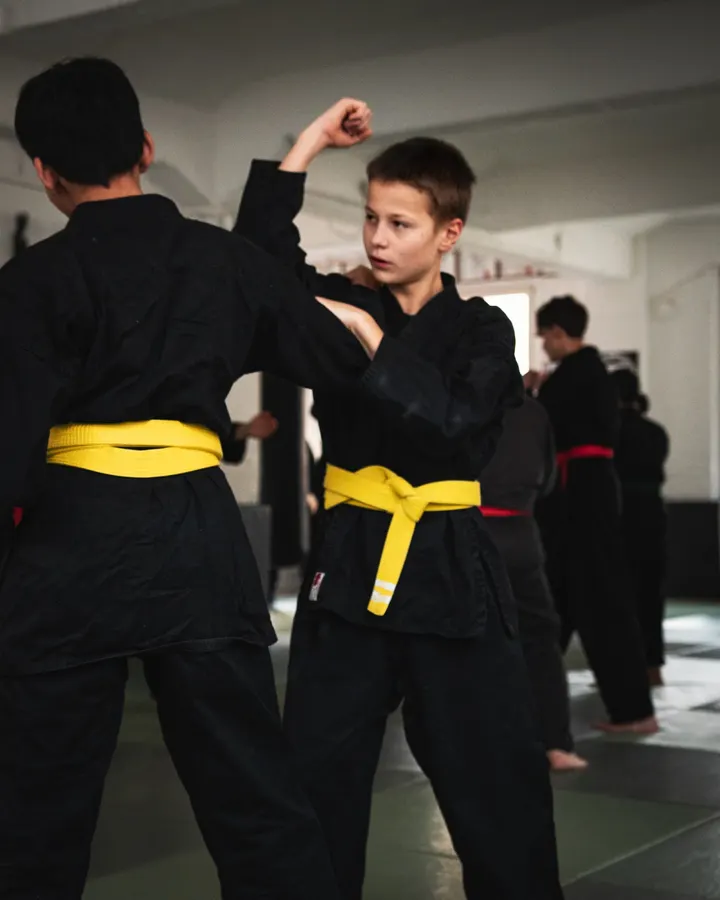 Ninjutsu Akademie Hamburg — kampfsport-studio in Hamburg — 3