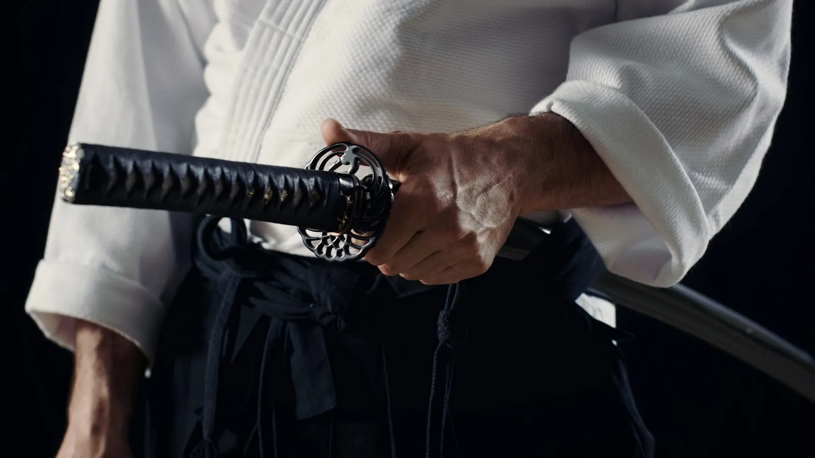 Kampfkunst Akademie Nekomata Kenjutsu — kampfsport-studio in Groß Grönau — 5
