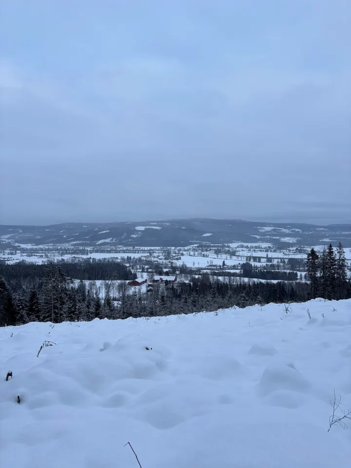 Uthvilt Yoga & Mindfulness By Emilia Navallas — yoga-studio i Årnes, Brandval — 3
