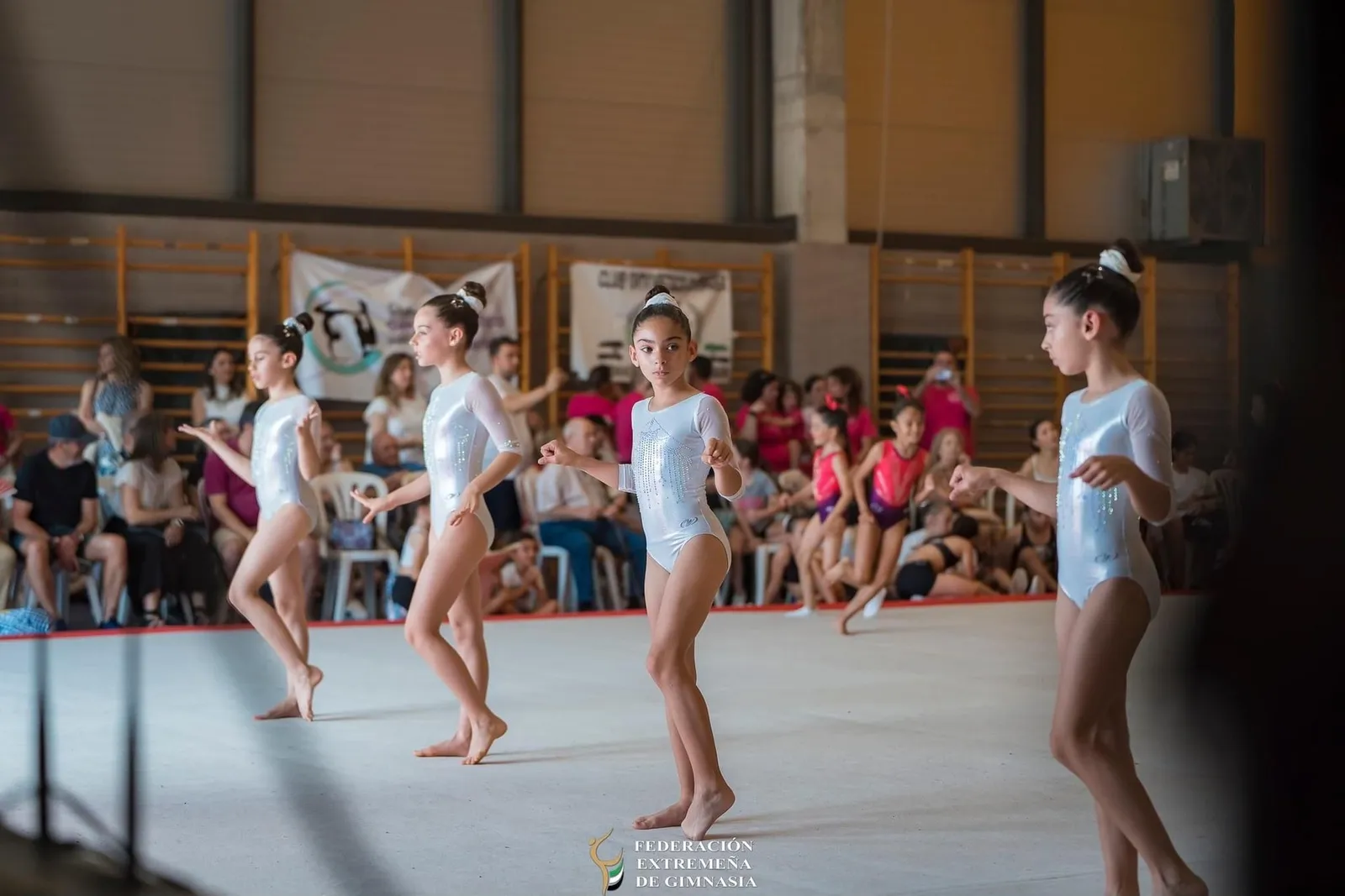 Club Gimnastico Gymarex — träningsstudio-studio i Badajoz — bild 4