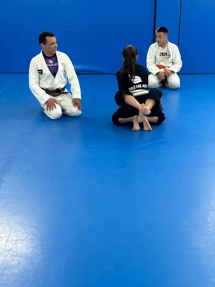 Dream Art Jiu-jitsu Valencia — artes marciales-studio en Ciutat Jardí, Valencia — 2