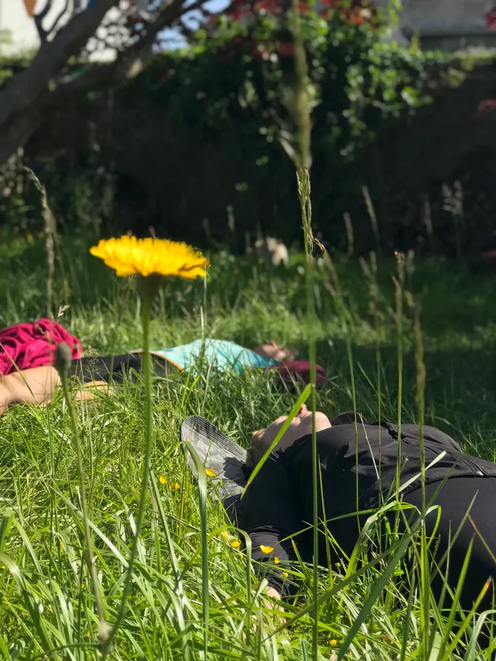 Yoga nature / Céline Castel — yoga-studio au Relecq-Kerhuon — 4