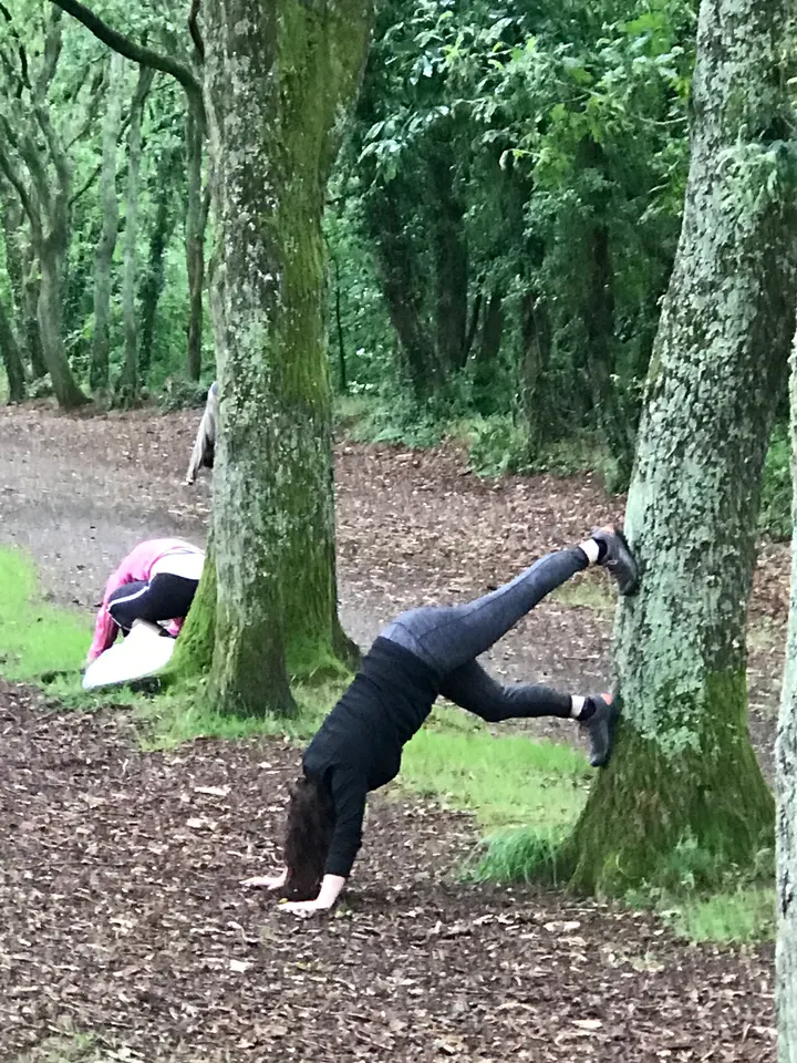 Yoga nature / Céline Castel — yoga-studio au Relecq-Kerhuon — 6