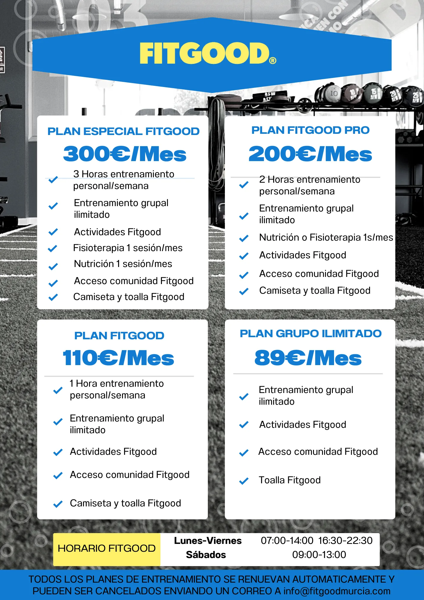 Fitgood — entrenamiento personal-studio en Murcia — 2