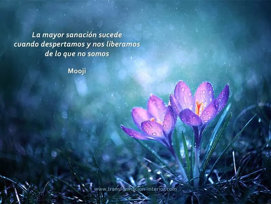 CENTRO DE MEDITACIÓN SAMMASATI — meditación-studio en Barcelona — 3