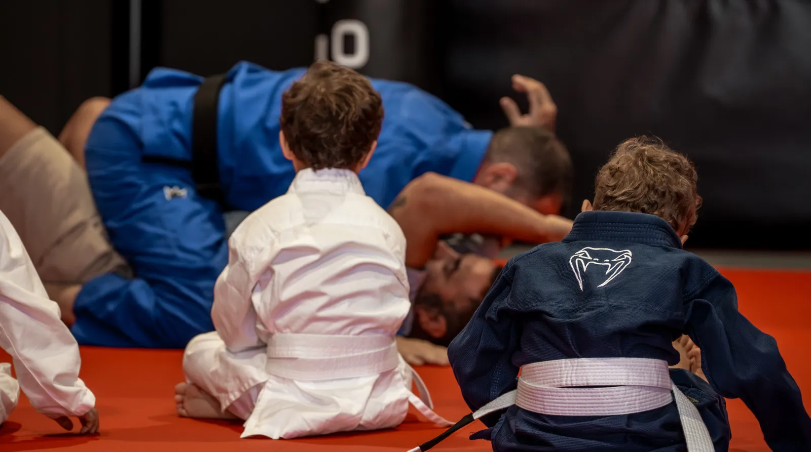 Titan Ludus Conil — artes marciales-studio en Conil de la Frontera — 2
