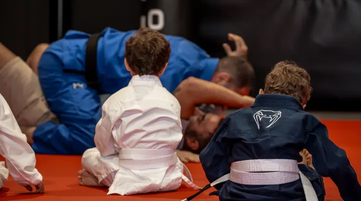Titan Ludus Conil — artes marciales-studio en Conil de la Frontera — 2