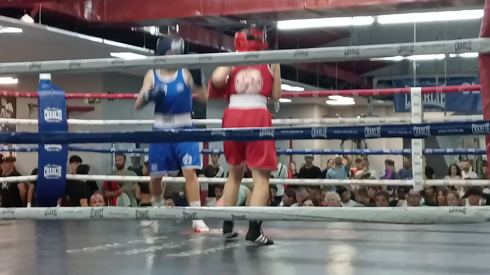 BAT BOX CLUB DE BOXEO — kampsport-studio i Magán — bild 2