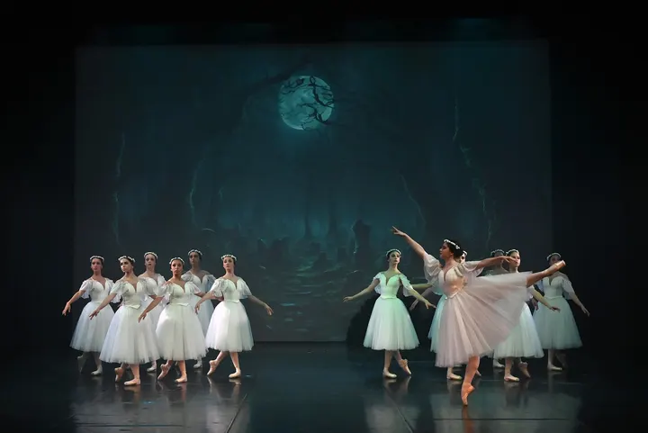 Professione Danza Parma — danza-studio a Parma — 3