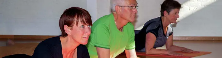 Life-Force Yoga & mindfulness — Yoga in De Ganzepoel-Schans, Westervoort