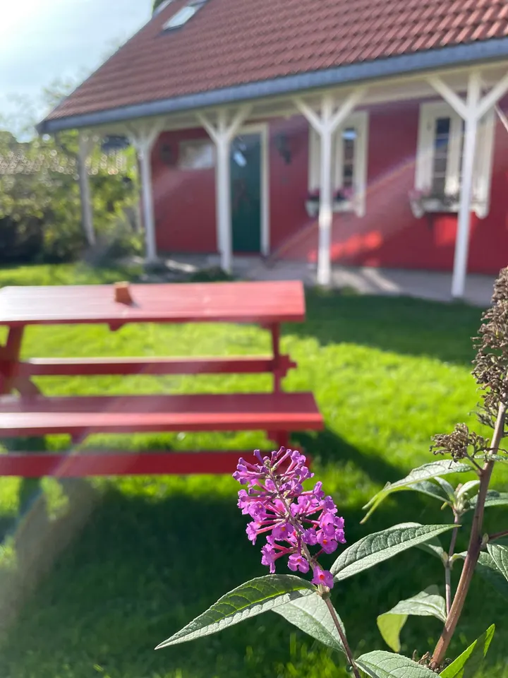 Vildekraft — yoga-studio i Skien — 5