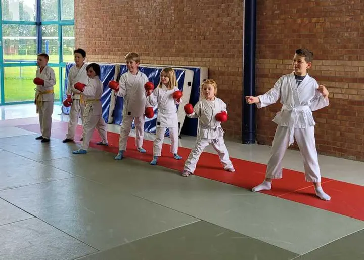 Karate Club des Weppes — arts martiaux-studio au Gris Pot, Bois-Grenier — 3