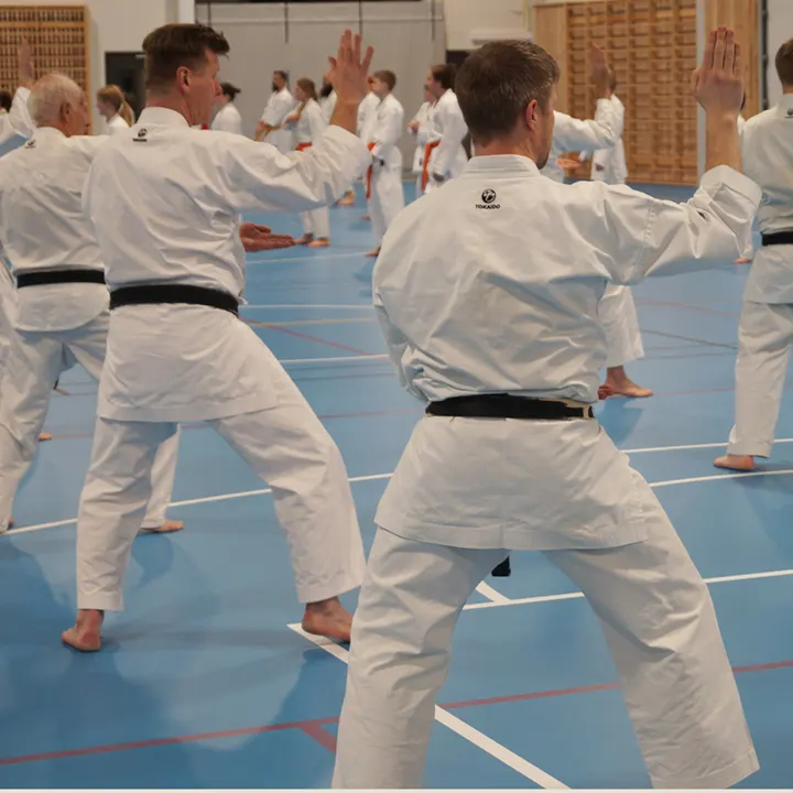 Ikita karateklubb — kampsport-studio i Bergen — 3