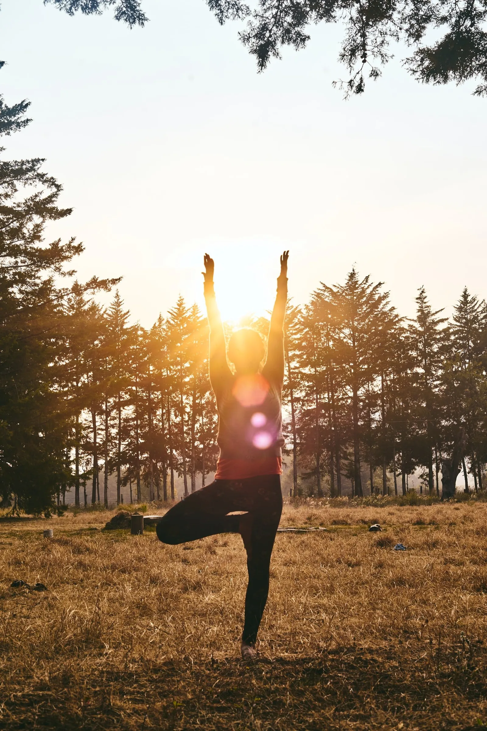 YogaShakti Mariatorget — yoga-studio i Stockholm — bild 5