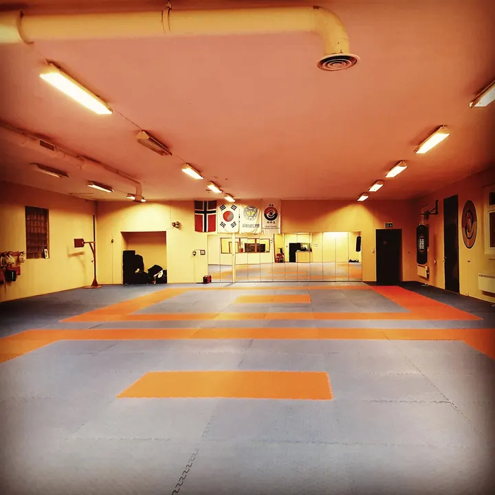 Larvik Taekwondo — Kampsport i Agnes, Larvik