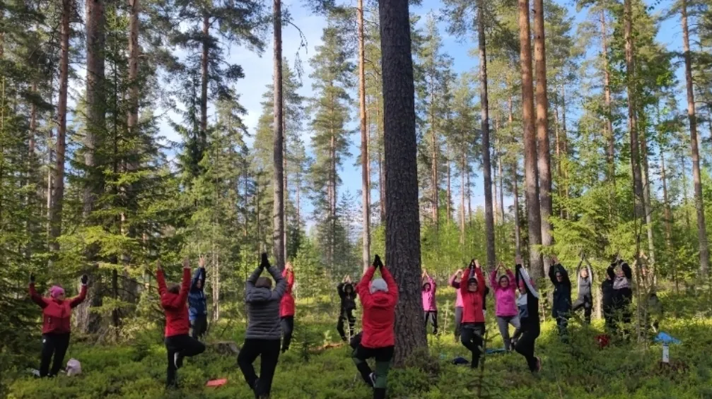 Luontokoto — wellness-studio – Siilinjärvi — 3