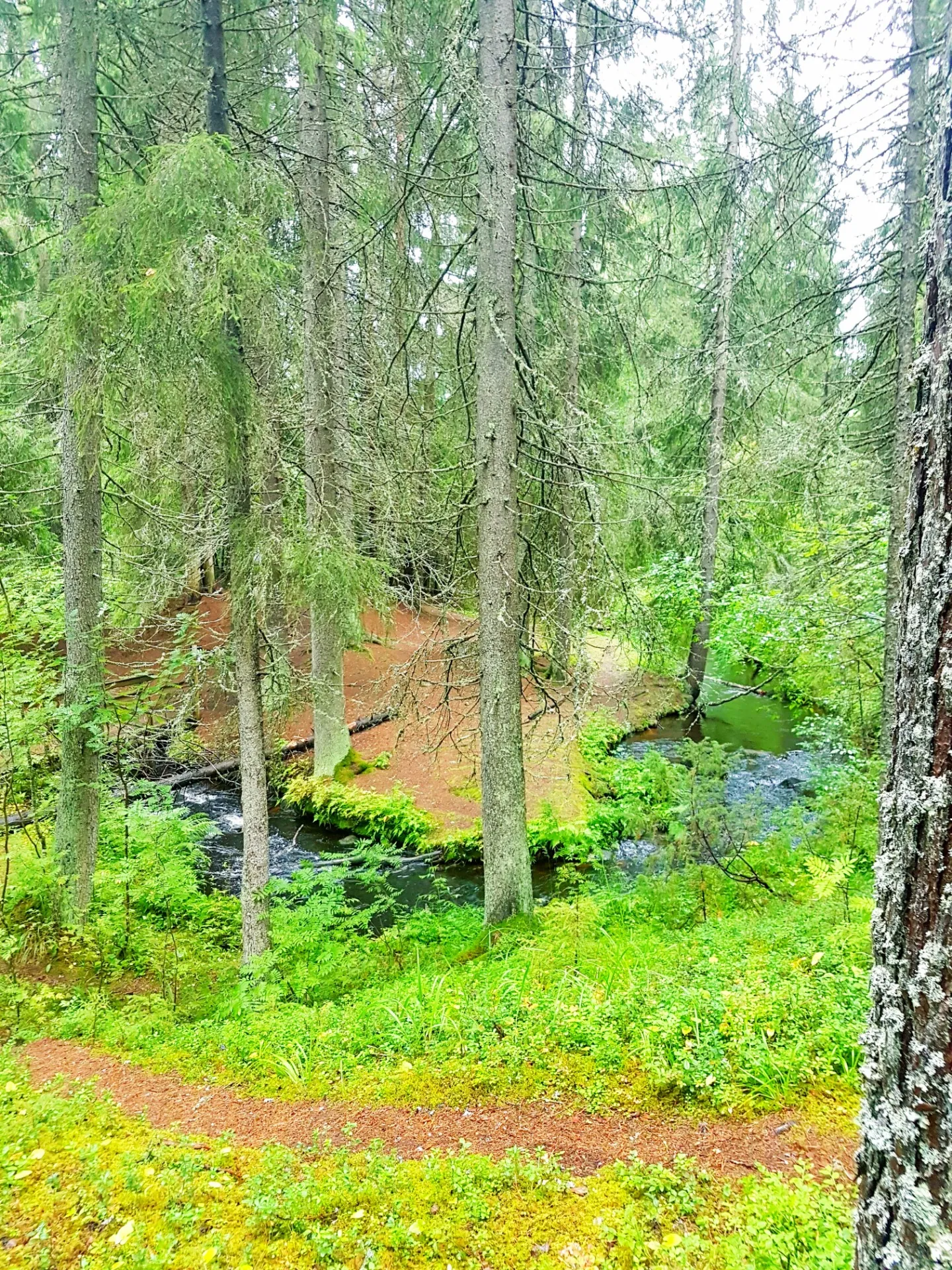 Luontokoto — wellness-studio – Siilinjärvi — 4