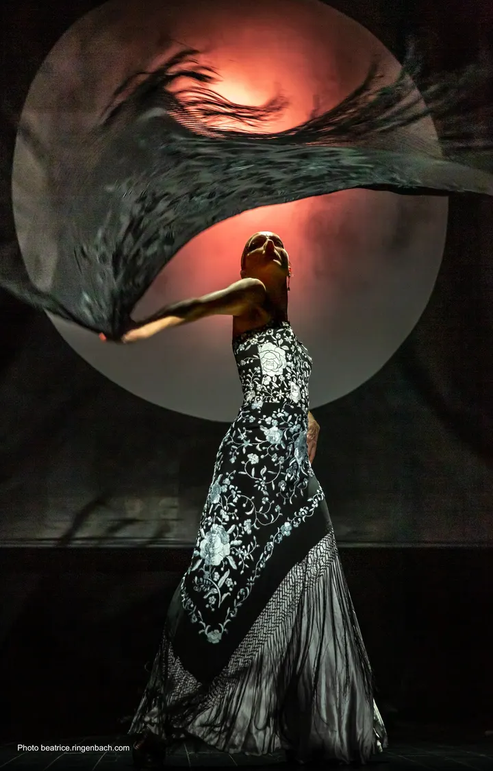 Le Studio Flamenco de Bordeaux — danse-studio à Bordeaux Centre, Bordeaux — 2