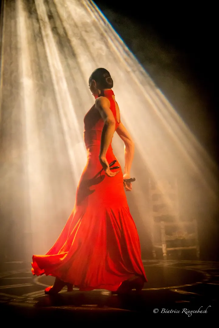Le Studio Flamenco de Bordeaux — Danse à Bordeaux Centre, Bordeaux