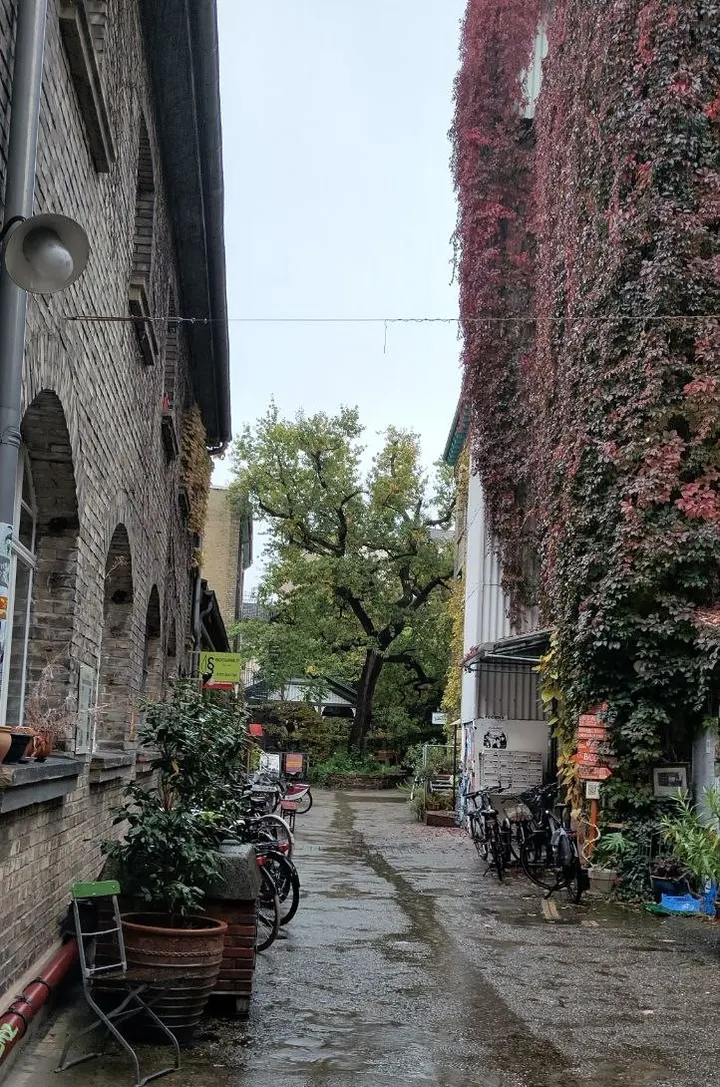 Do Yoga Dorothea Adams — yoga-studio in Karlsruhe — 5