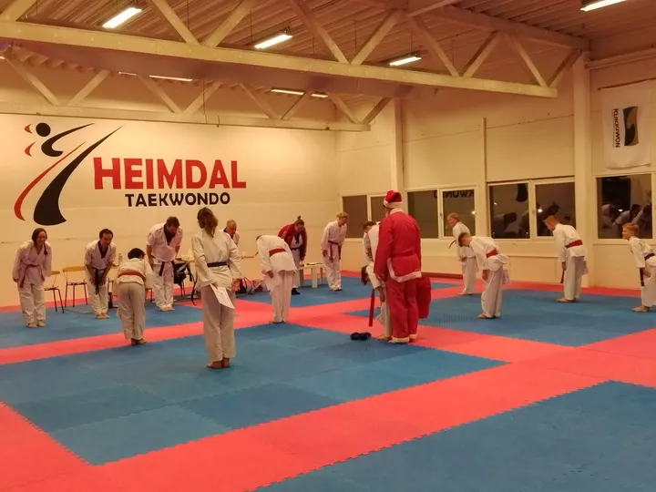 Heimdal Taekwondo Klubb — kampsport-studio i Trondheim — 5