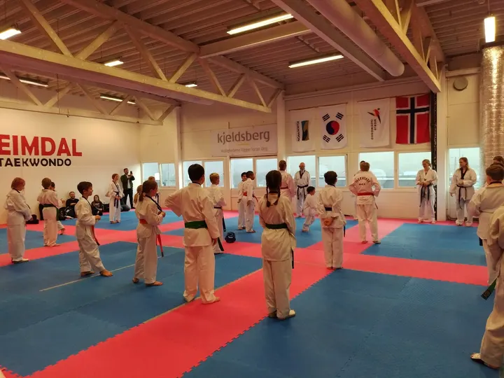 Heimdal Taekwondo Klubb — Kampsport i Kvenild, Trondheim
