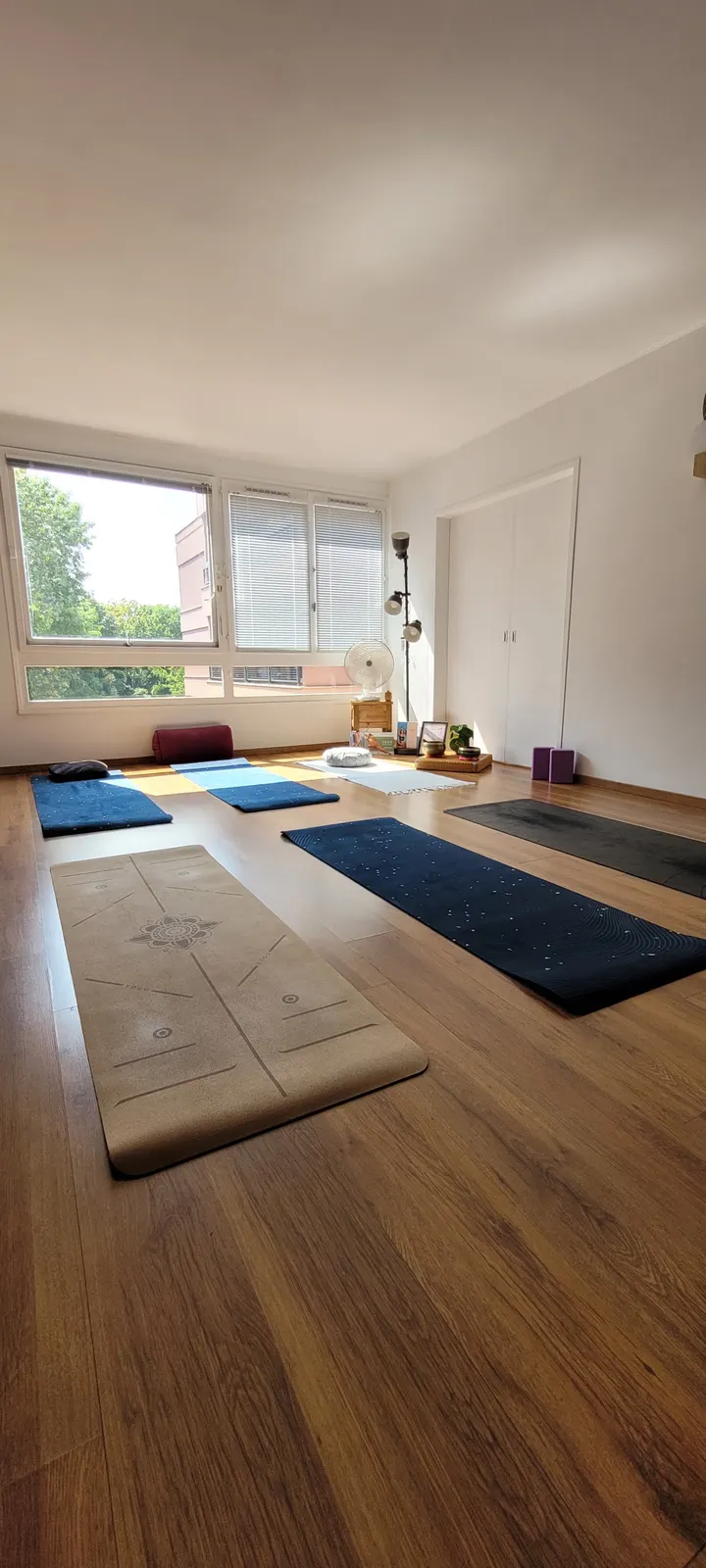 Crosne-Yoga — yoga-studio à Paris — 3