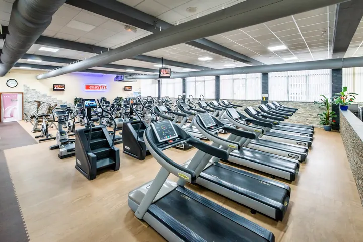 Wellness — salle de fitness-studio à Cornières, Ville-la-Grand — 3
