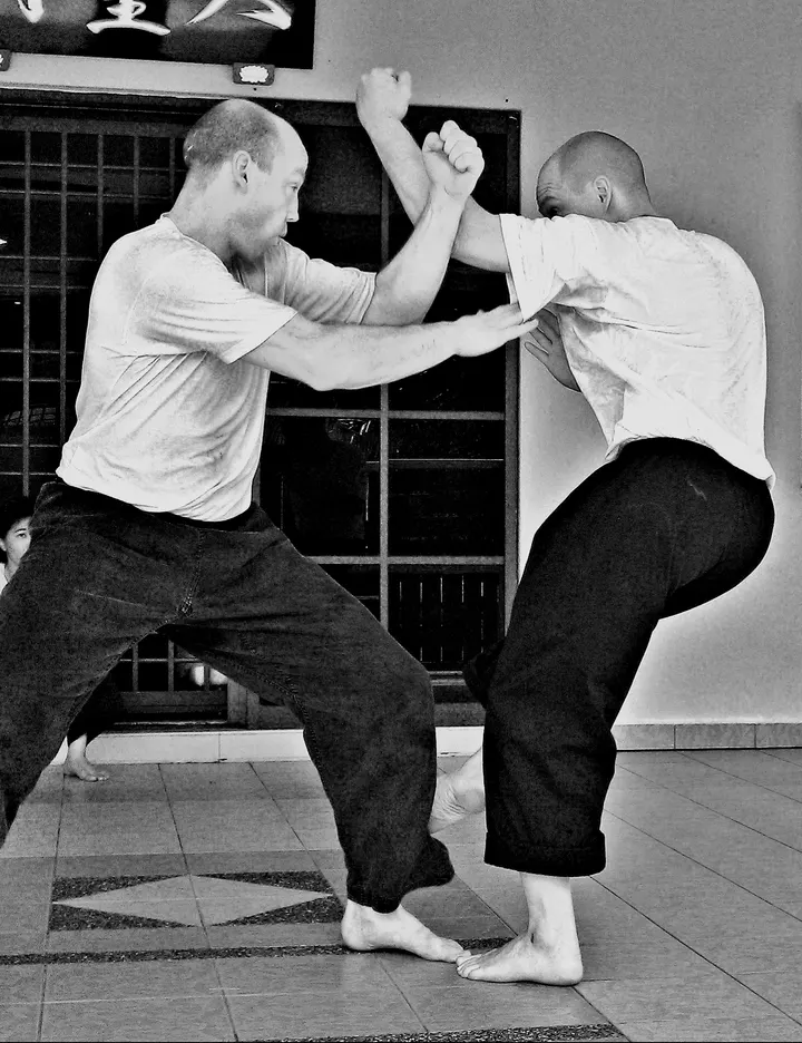 Tai Sheng Men Helsinki, kungfu-koulu — Kamppailulajit – Sörnäinen, Helsinki