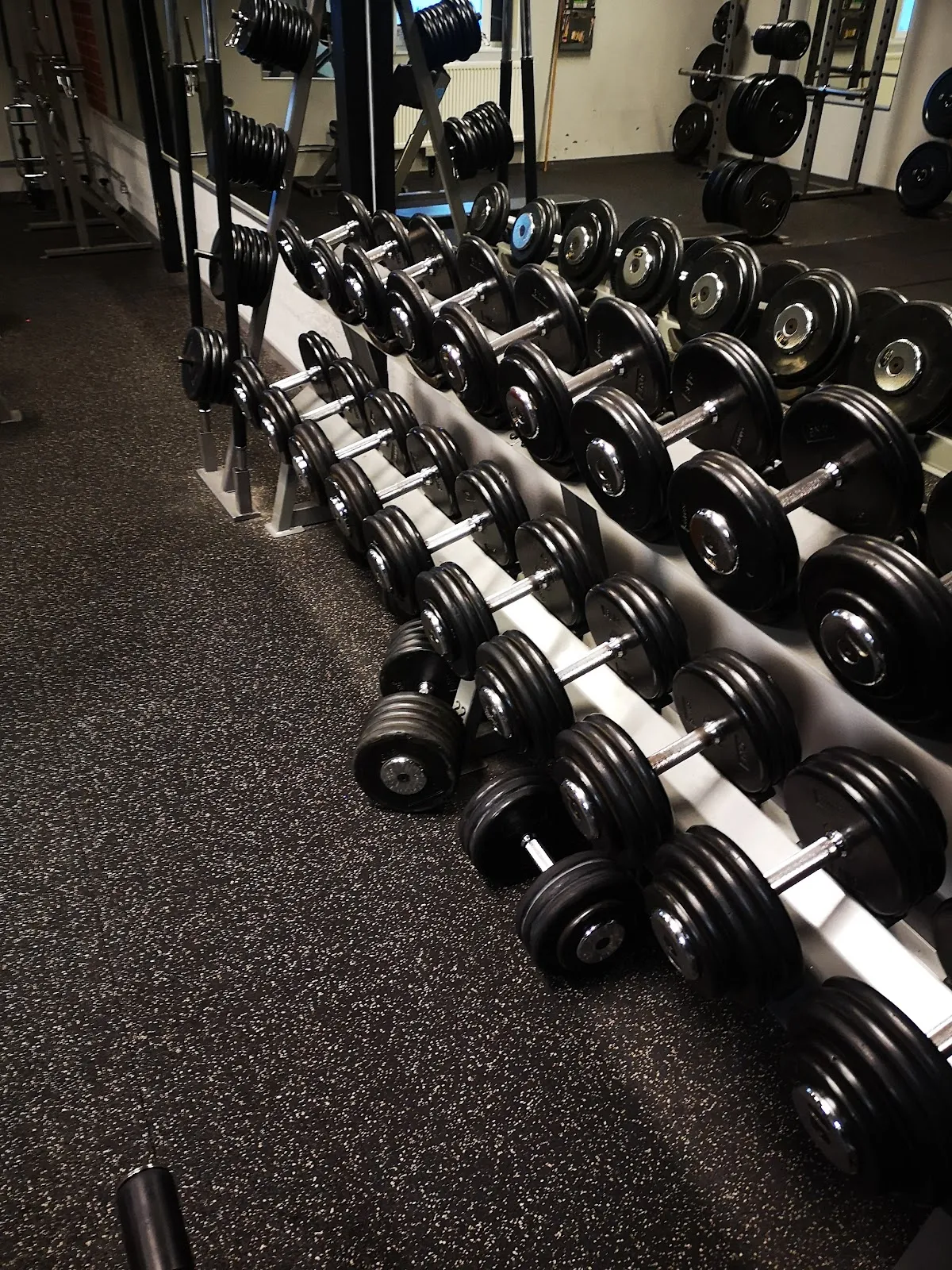 Skogstorps gym — träningsstudio-studio i Skogstorp — bild 3