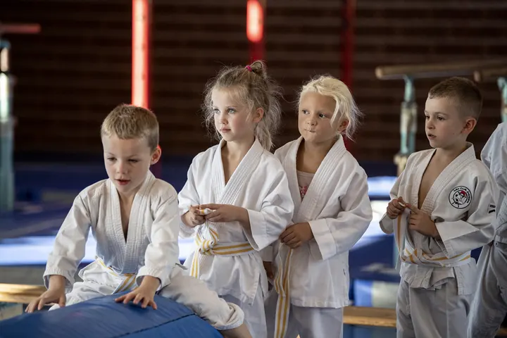 Jujitsu Corbeil — arts martiaux-studio à Corbeil-Essonnes — 3