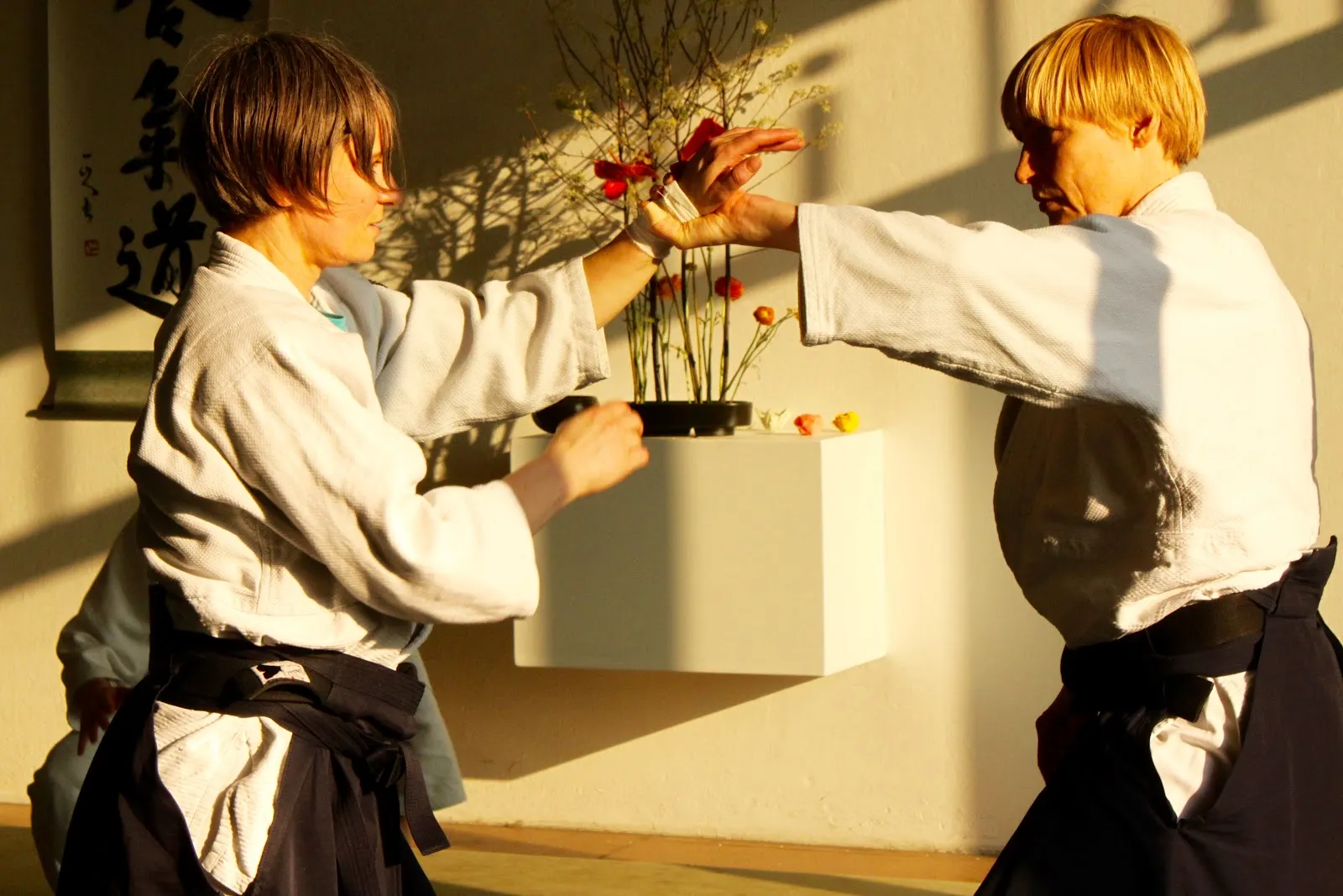 Aikido Dojo am Gleisdreieck — kampfsport-studio in Kreuzberg, Berlin — 2