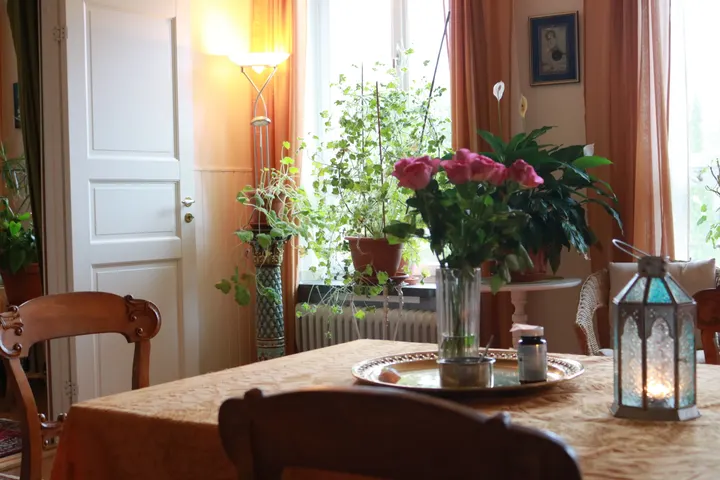 Skandinaviska Ayurveda-Akademin HB — Yoga i Hjorthagen, Stockholm