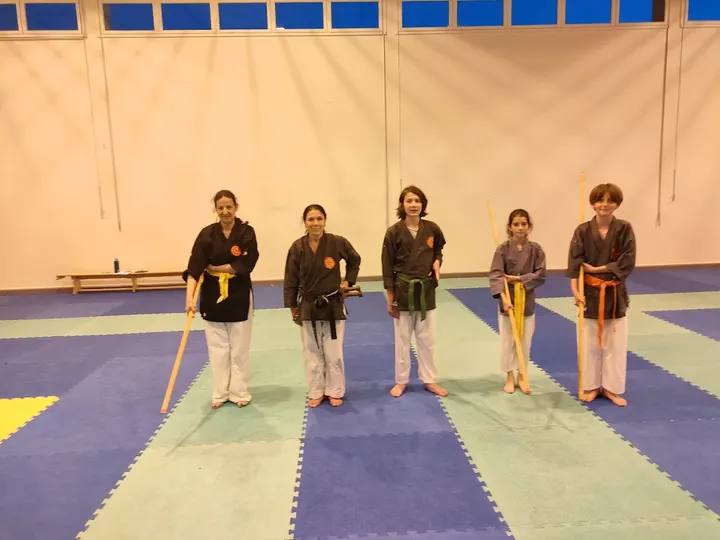 Kobudo et Arts Martiaux Anciens — arts martiaux-studio à Lyon — 5