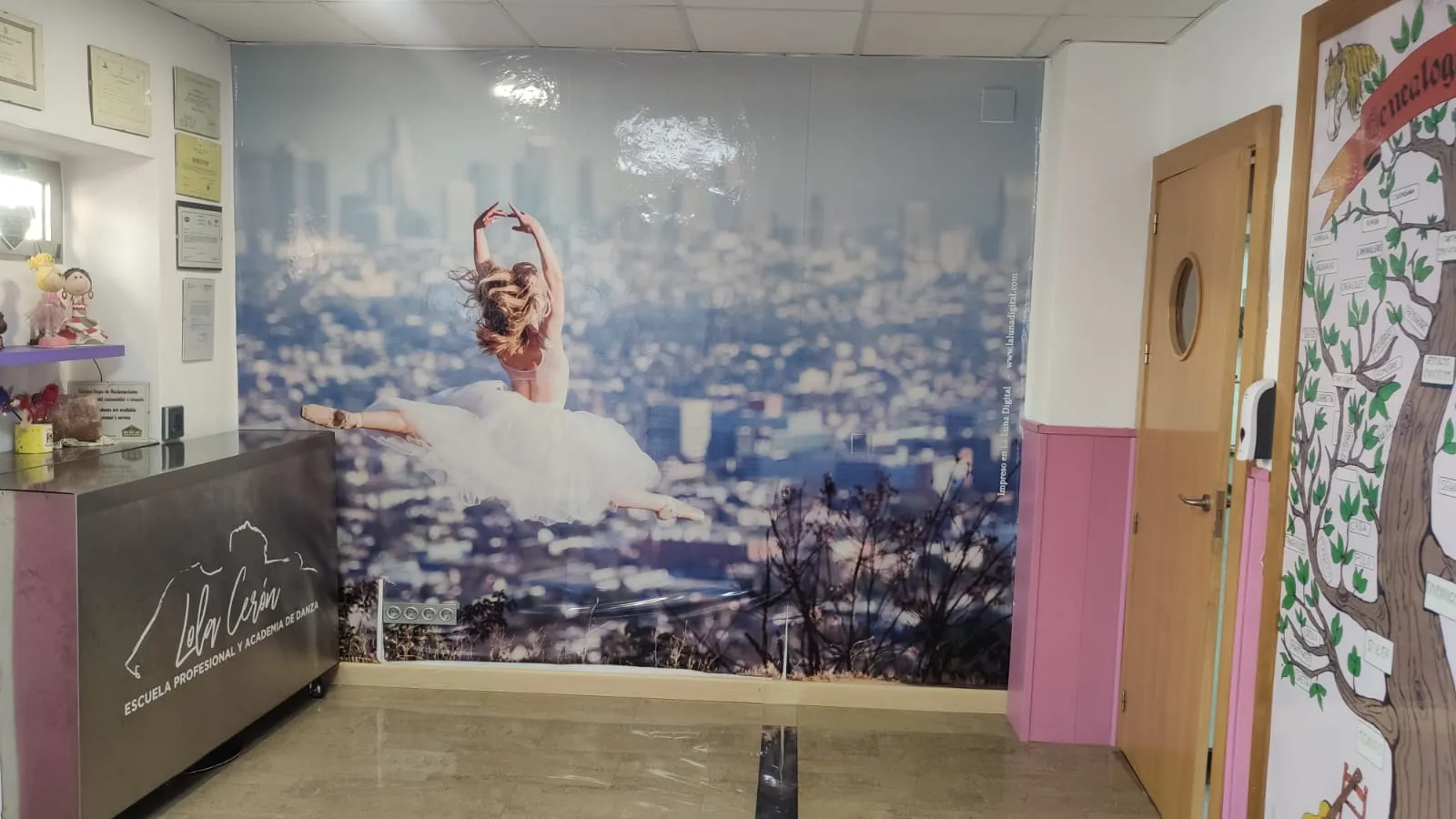 Dance Academy Lola Cerón — baile-studio en Molina de Segura — 3