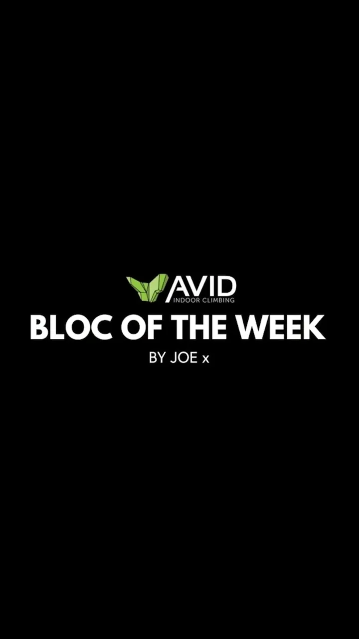 Avid Climbing — bouldering-studio in Ipswich — 5