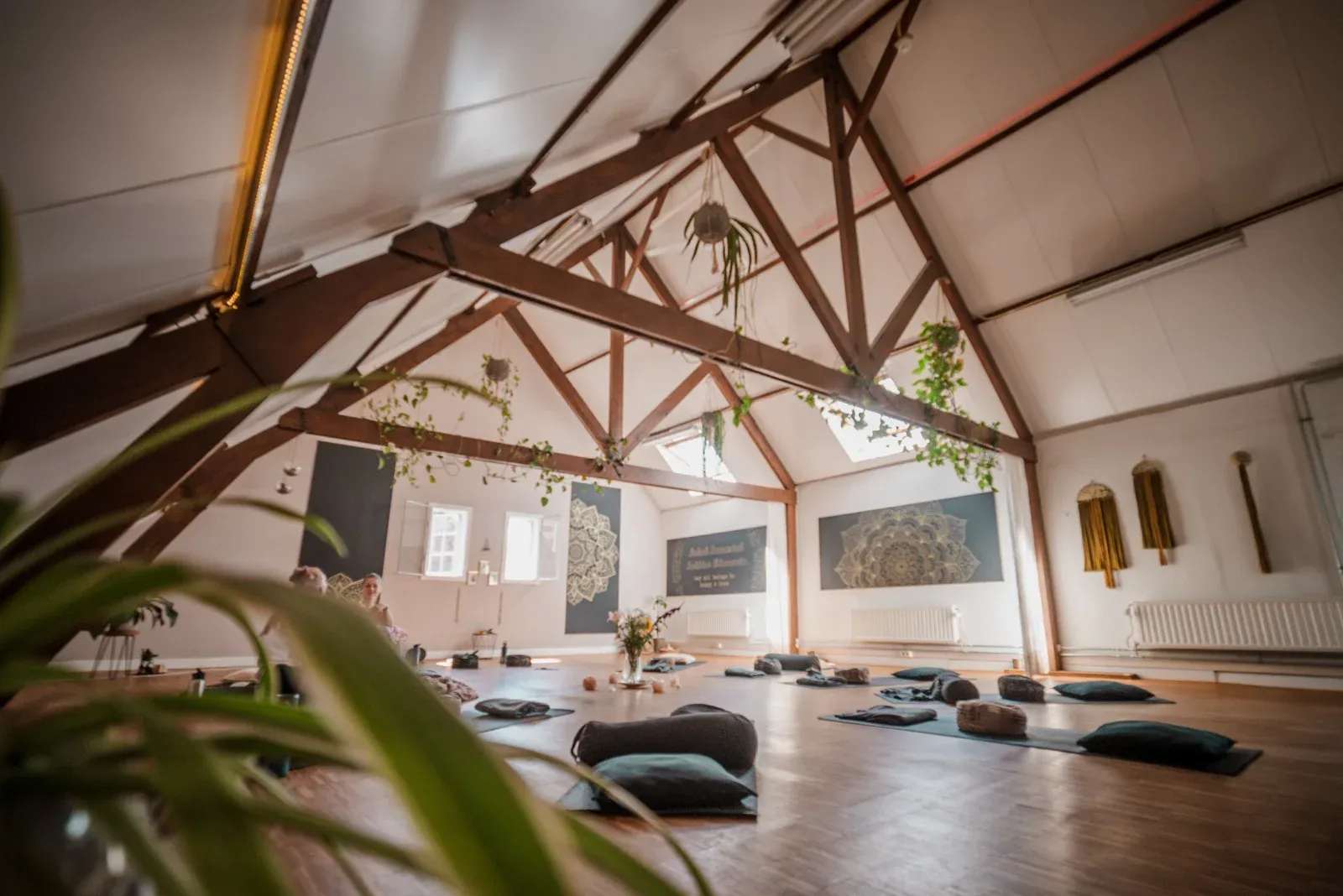 Licht op Yoga — Yoga in Woensel-Zuid, Eindhoven
