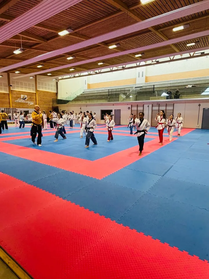 Taekwondo Dojang Villeurbanne — arts martiaux-studio à Villeurbanne — 4