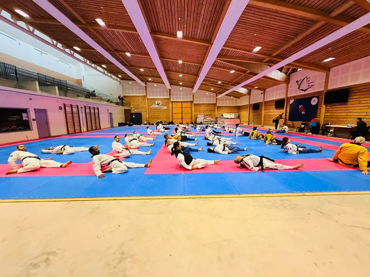 Taekwondo Dojang Villeurbanne — arts martiaux-studio à Villeurbanne — 5