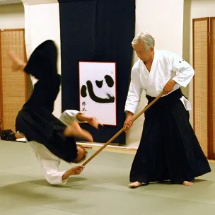 Aikido Yuishinkai Alkmaar — Vechtsport in Daalmeer-Zuidwest, Alkmaar