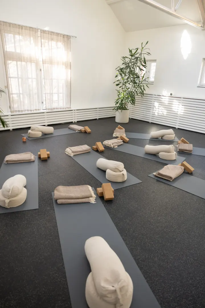 Bluebirds Haarlem — yoga-studio in Frans Halsbuurt, Haarlem — 2