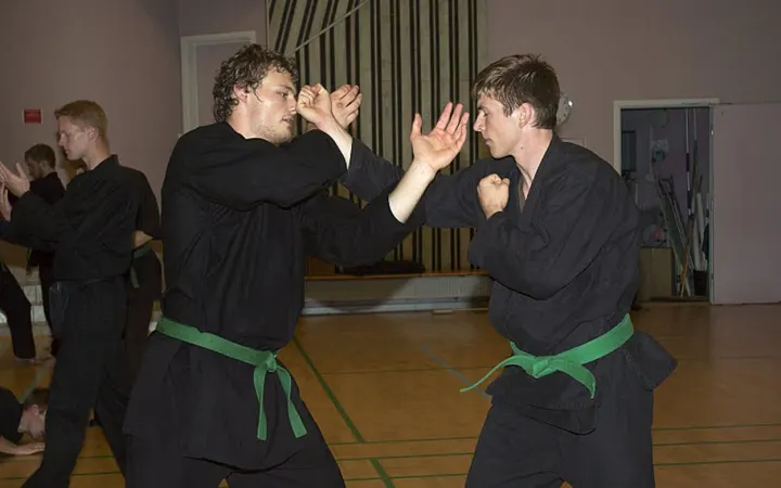 BUJINKAN NINPO DOJO AALBORG — martial arts-studio i Grønlandskvarteret, Aalborg