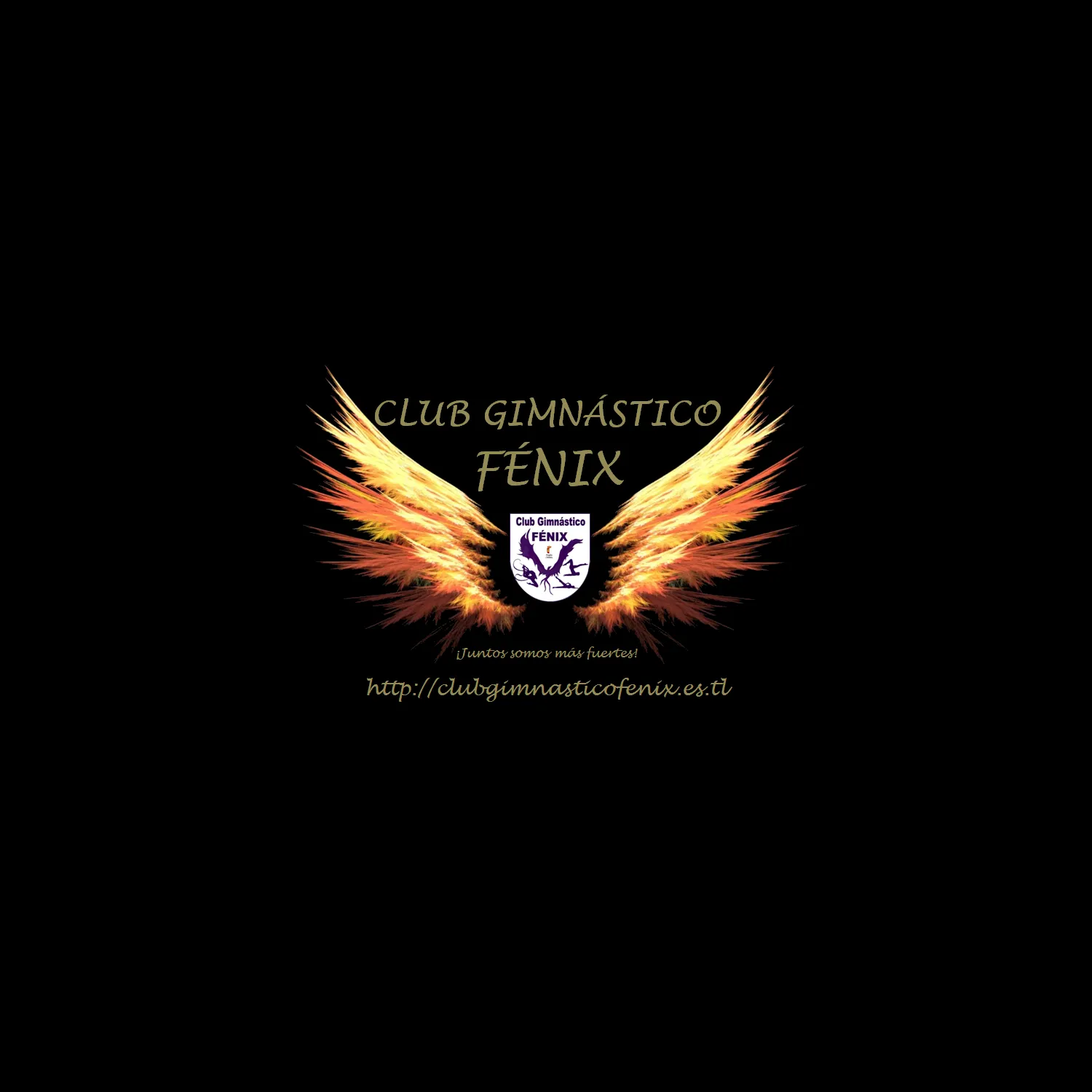 Club Gimnástico Fénix — gimnasia-studio i Argés — 2