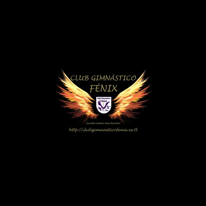 Club Gimnástico Fénix — gimnasia-studio en Argés — 2