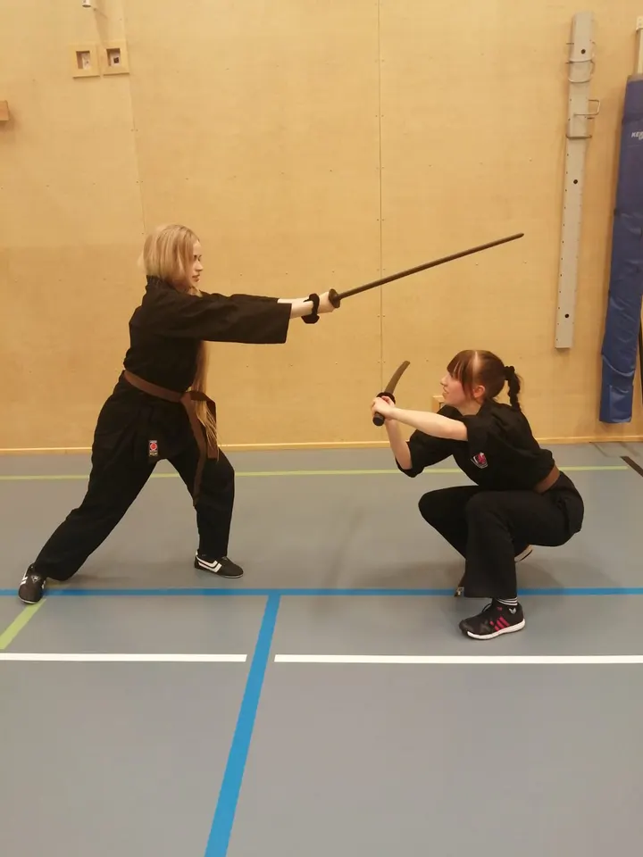Seinäjoen itsepuolustuskoulu (SIPKO) — kamppailulajit-studio – Keskusta, Seinäjoki — 3