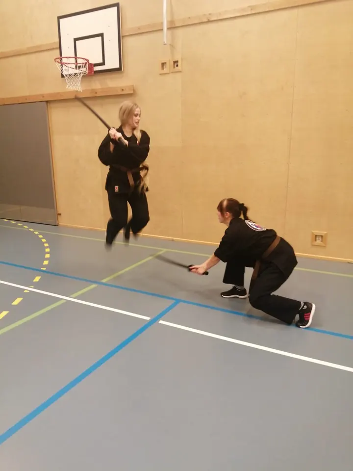 Seinäjoen itsepuolustuskoulu (SIPKO) — kamppailulajit-studio – Seinäjoki — 3