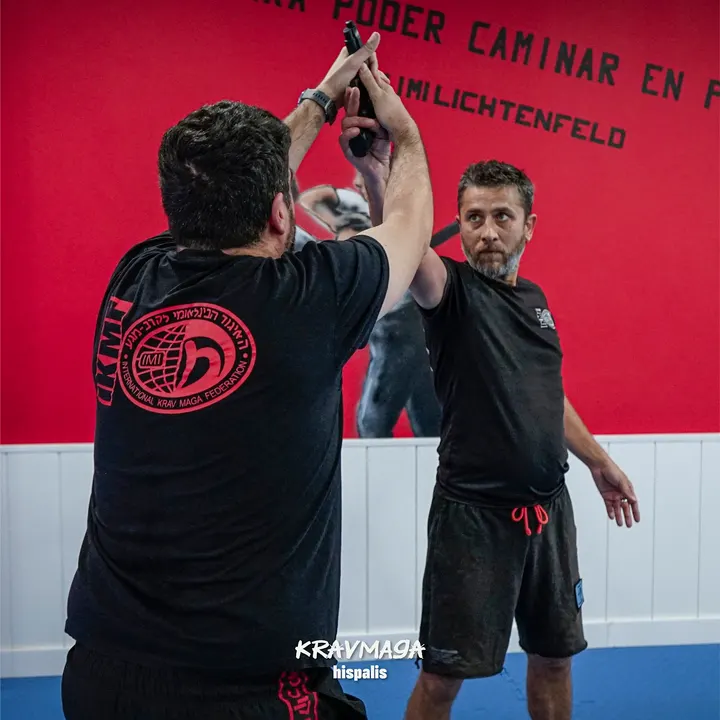 Ikmf Defensa Personal Krav Maga — Artes marciales en Los Remedios, Sevilla
